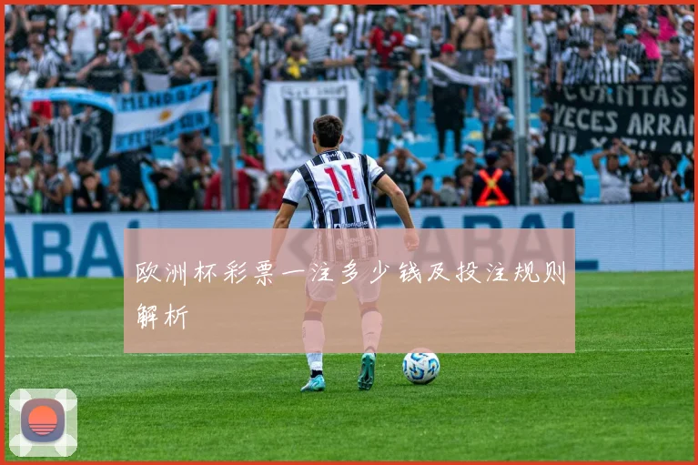 欧洲杯彩票一注多少钱及投注规则解析