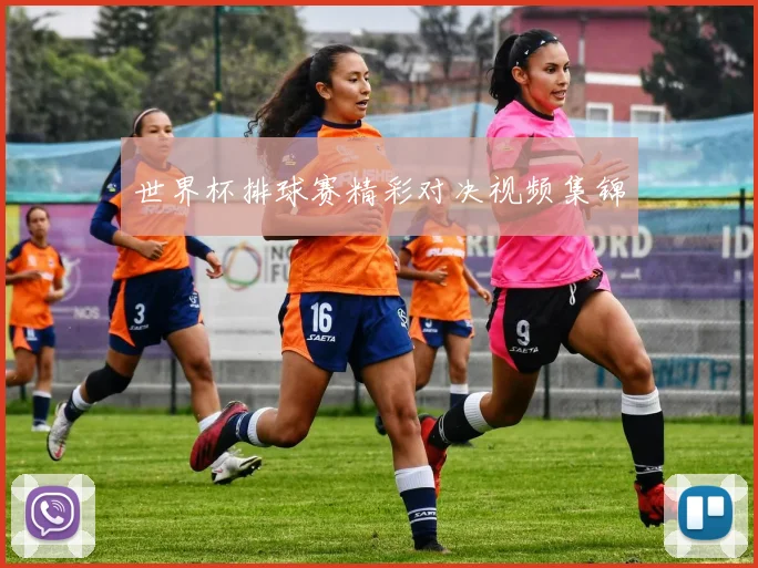 世界杯排球赛精彩对决视频集锦