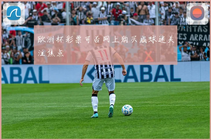 欧洲杯彩票可否网上购买成球迷关注焦点