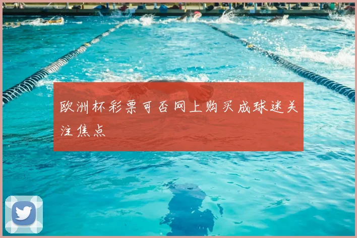 欧洲杯彩票可否网上购买成球迷关注焦点