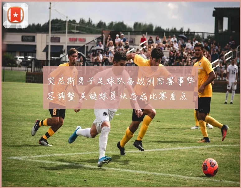 突尼斯男子足球队备战洲际赛事阵容调整 关键球员状态成比赛看点