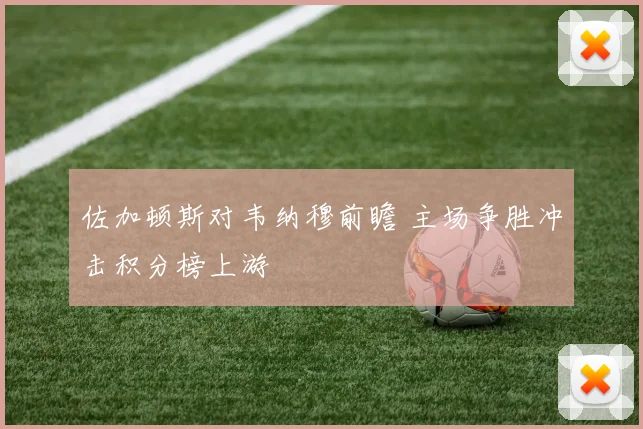 佐加顿斯对韦纳穆前瞻 主场争胜冲击积分榜上游